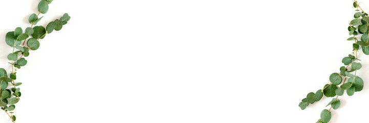 Border frame made of eucalyptus branches © rorygezfresh