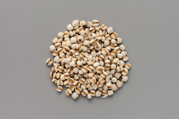 herb medicine YiYiRen or Coicis Semen or Ma-yuen Jobstears Seed