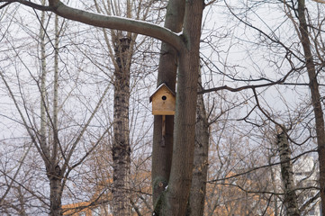Empty birdhouse on a tree