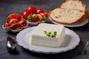 Fototapeta na wymiar Italian cheese Stracchino, prosciutto, tomatoes and bread