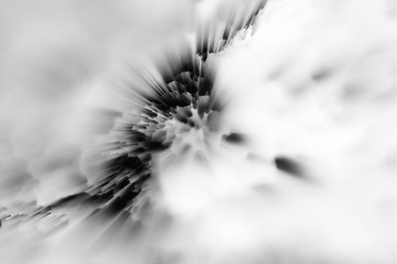 Abstract black-and-white bright blurred background.