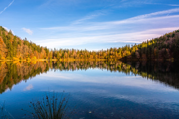 Yellow woods in autumn and beautiful reflection of clouds in the lake of Freiburg in Germany; shot in November 2019