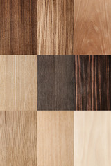 European Beech texture wood