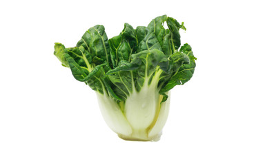 Fresh green vegetables on a white background. Organic Chinese cabbage.