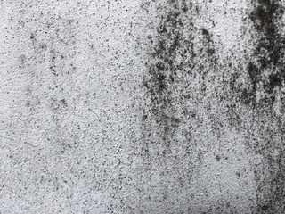 Old wall background for texture and web decoration.