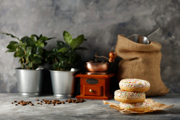 Fresh hot coffee of free space for your decoration and morning sun light. 