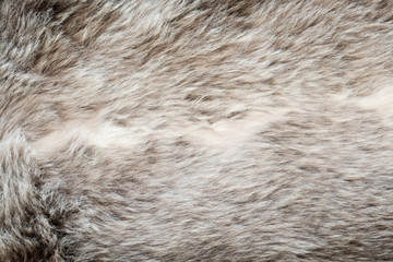 gray and white fake fur background macro 