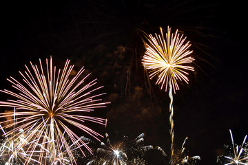Variety colorful firework on the night sky background. Salute with yellow and white flashes.