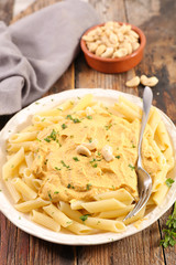 pasta with vegan cashew nut sauce