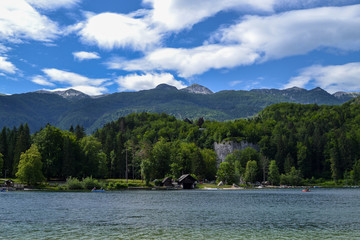 Wildlife. Mountain lake on a sunny day