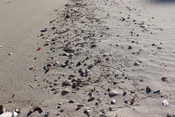 愛知県　篠島　風景