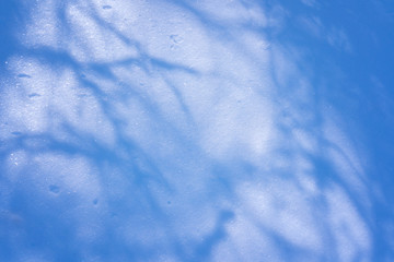 Obraz premium Trees covered with snow, beautiful winter landscape. Winter background.