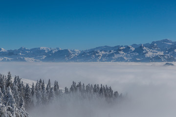 view from Rigi mountain in winter during high inversion fog, blue sky