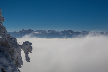 high inversion fog in Switzerland in winter, blue sky, mountains, tree