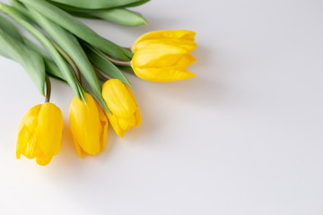 Obraz premium A bouquet of yellow tulips lies in the upper left corner on a white background