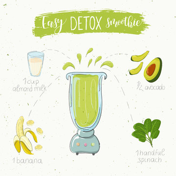 Illustration Of Detox Smoothie Recipe From Spinach Banana And Avocado In A Blender. Vector