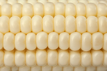 White corn vegatable closeup background