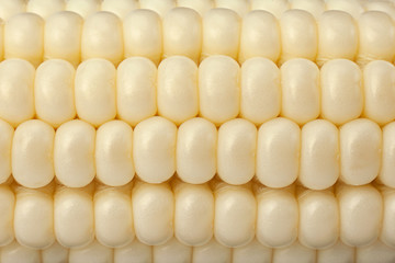 White corn vegatable closeup background
