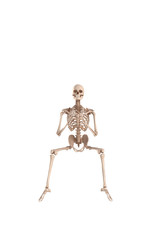 Skeletal
