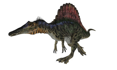 Spinosaurio