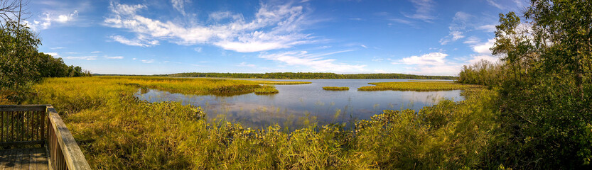 Fototapeta na wymiar landscape with marsh and blue sky