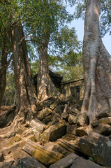 Ruin of a temple of Angkor Wat, Cambodia