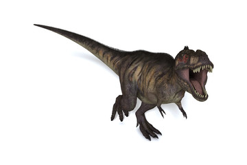 Fototapeta premium Tiranosaurio Rex