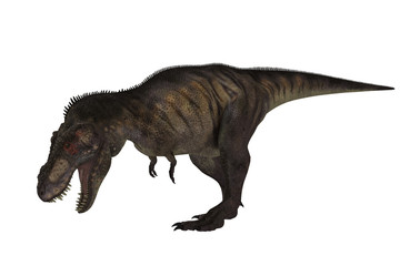 Obraz na płótnie Canvas Tiranosaurio Rex