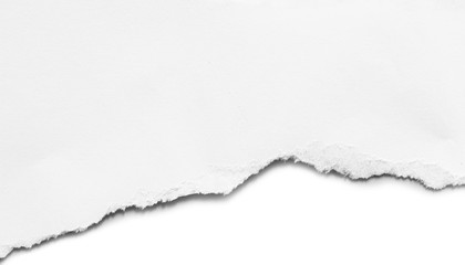 ripped paper isolated on white background with copy space for text