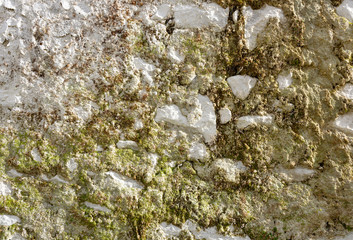 Old vintage white masonry with moss