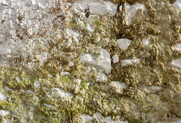 Old vintage white masonry with moss