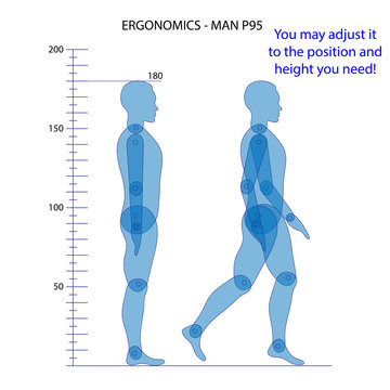 Ergonomia - Hombre P95