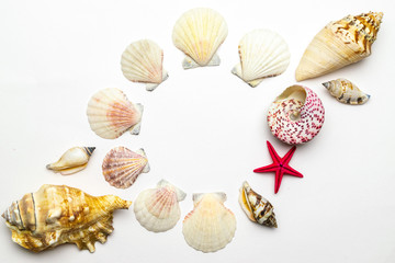 Summer holiday poster with Living Coral color sea shells and starfish on white background, copy space. Top view travel or vacation concept. Flat lay