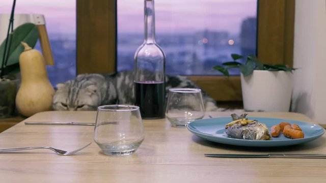 Cute Scottish fold and Scottish straight cat lies on a windowsill and watching food on the table. Chef puts baked Dorado fish with lemon on the table Roasting mahi fish with mushrooms and vegetables.