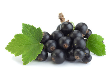 Black currant berries closeup