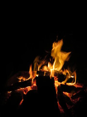 Flames and sparks of fire on a black background