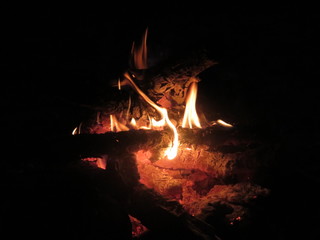 Flames and sparks of fire on a black background
