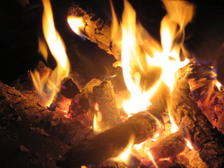 Flames and sparks of fire on a black background