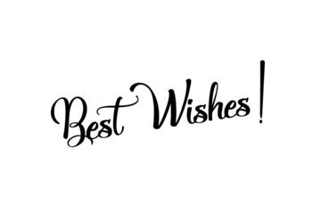 Best Wishes Handwritten lettering. Vector illustration. Template for T-shirt, decor, greeting card, poster 