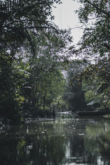 Mekong Delta River in Vietnam