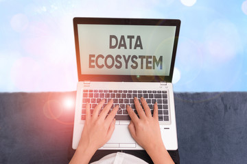 Word writing text Data Ecosystem. Business photo showcasing collection of infrastructure used to capture and analyze data