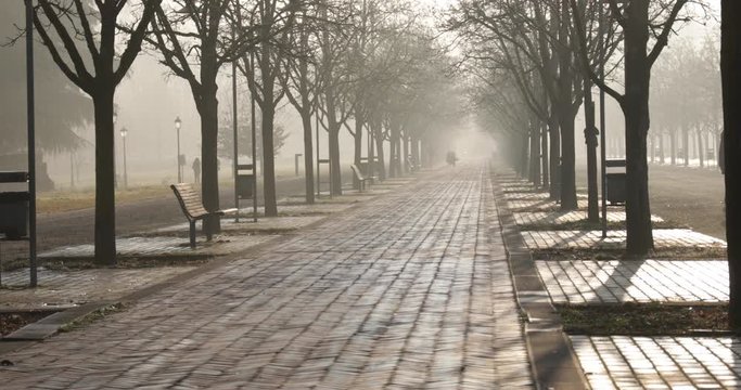 Persone anonime che camminano al parco