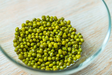 Sprouts of mung bean, germination of seed sprouts for nutrition, a raw food diet and vegetarianism