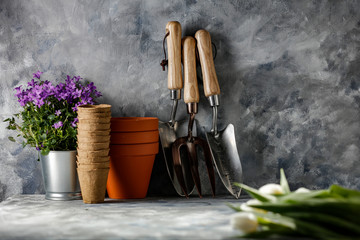 Garden tools and free space for your decoration.Spring time and copy space for your product. 