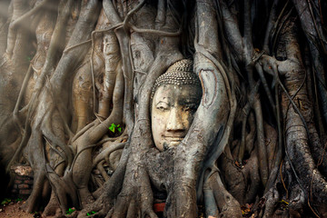Buddha-Kopf im Baum Ayutthaya Thailand Reisekonzept.Wat Mahathat Tempel ist ein beliebter Ort von Ayutthaya und Weltkulturerbe.Das Buddha-Gesicht ist erstaunlich.
