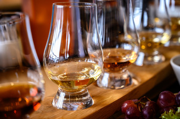 Flight of Scottish whisky, tasting glasses with variety of single malts or blended whiskey spirits on distillery tour in Scotland