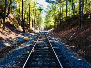 Fototapeta premium railway in the forest
