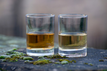 Scotch single malts or blended whisky spirits in glasses with old street in Edinburgh on background, Scotland