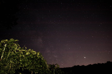 night sky, stars 