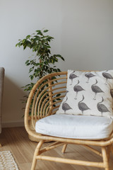 pillow with pattern on wood chair plant